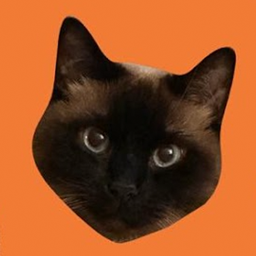 Pipo Game icon